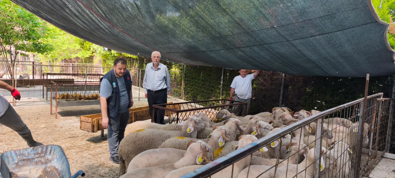 Kestanepazarı Kurban Bayramı Hazırlıklarını Tamamladı: "Kurbanın Kur’an Talebelerine Olsun"